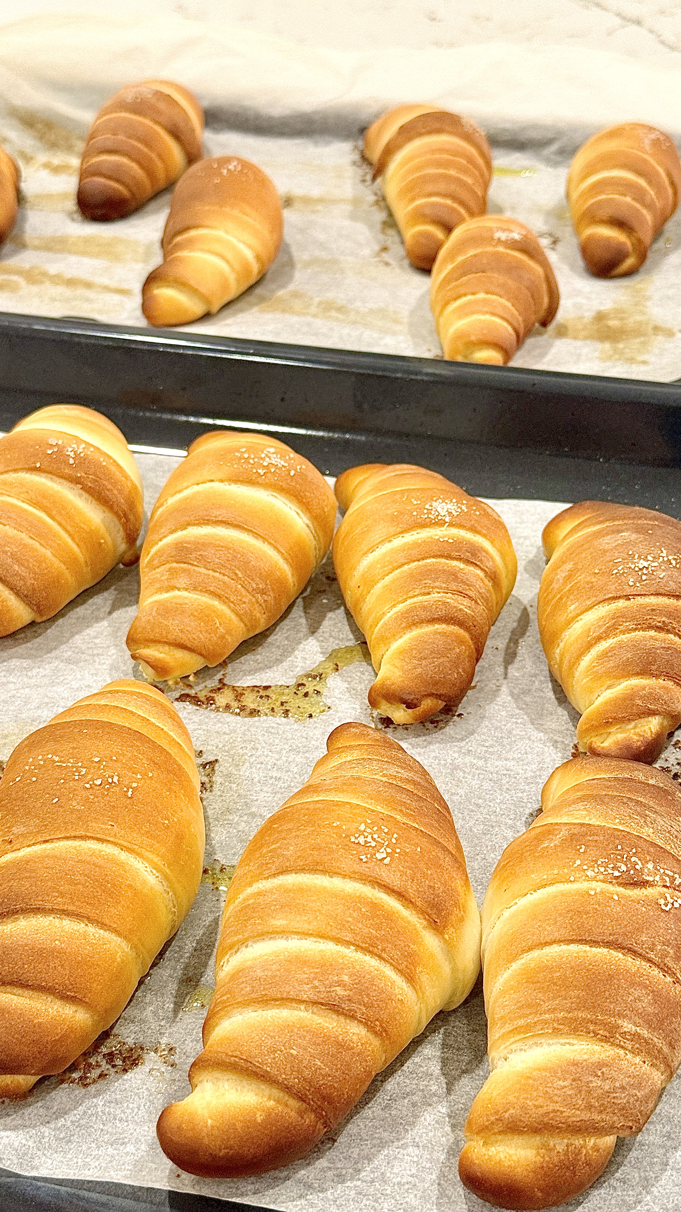 Fresh out of the oven!